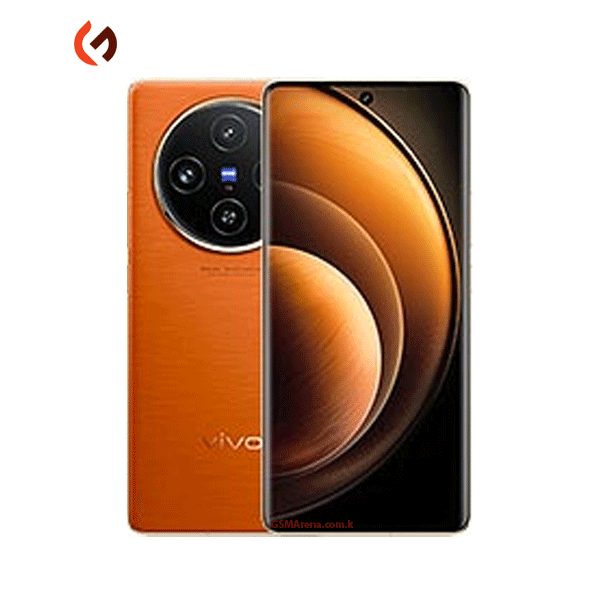 Vivo X100